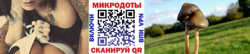 omg рабочий сайт  Лысково  Псилоцибиновые грибы Psilocybine cubensis  даркнет сайт 